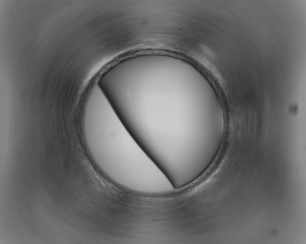 X0000093260925200709261615