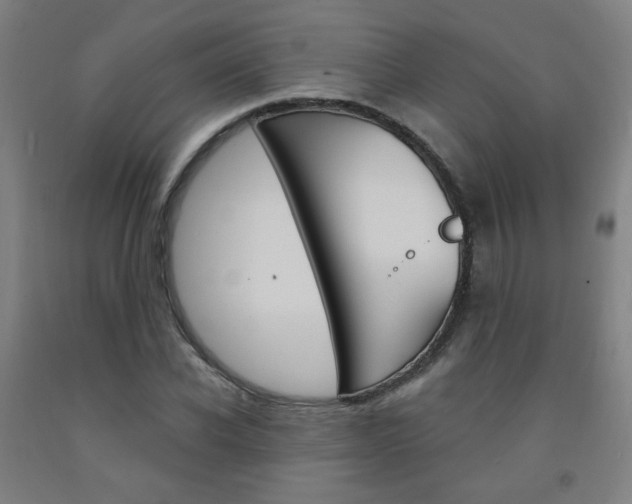 X0000093260926200709261615