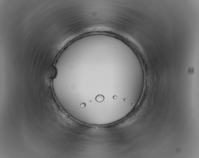 X0000093260929200709261615