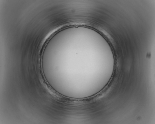 X0000093260933200709261615