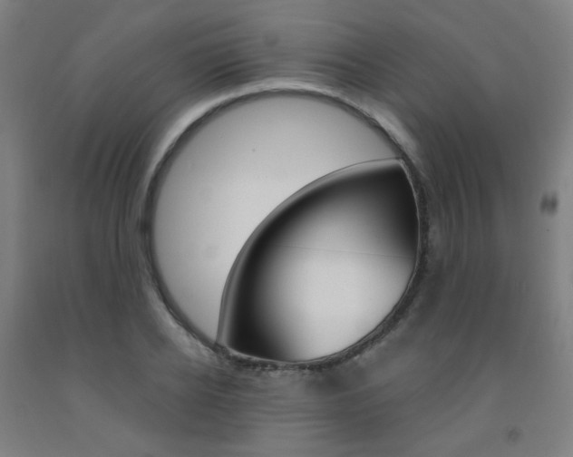 X0000093260934200709261615