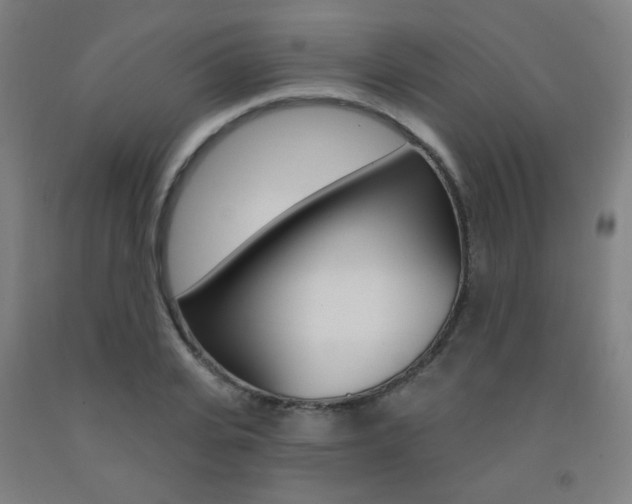 X0000093260935200709261615