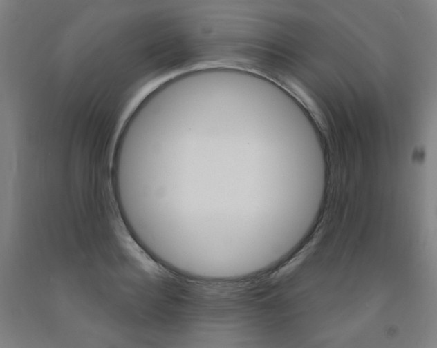 X0000093260940200709261615