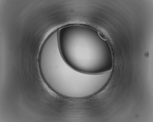 X0000093260942200709261615