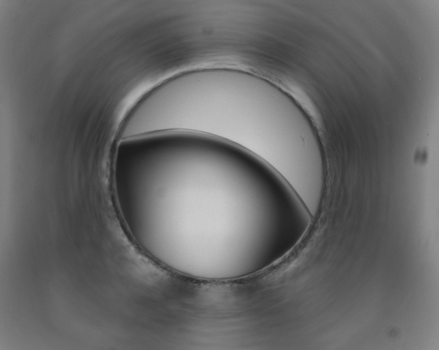 X0000093260944200709261615