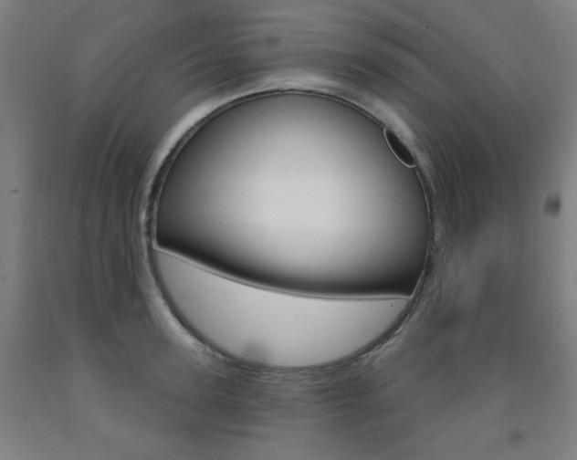 X0000093260947200709261615