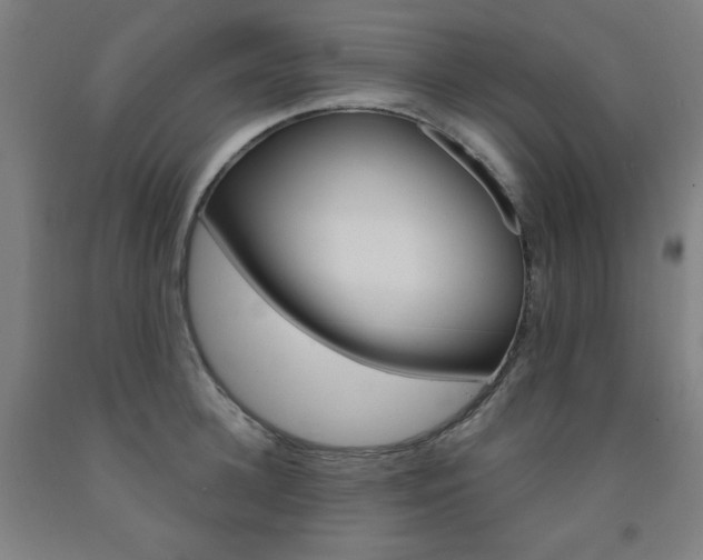 X0000093260948200709261615