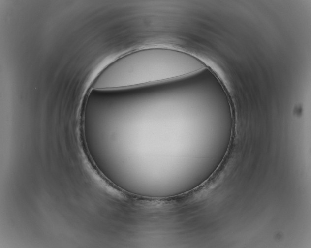 X0000093260949200709261615