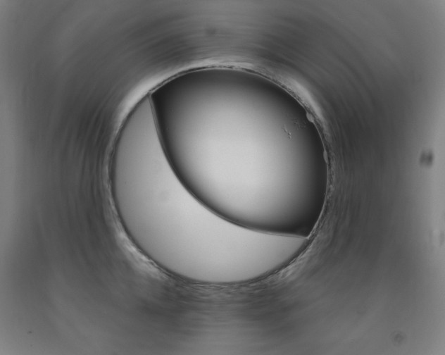 X0000093260952200709261615