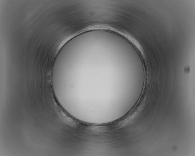 X0000093260953200709261615