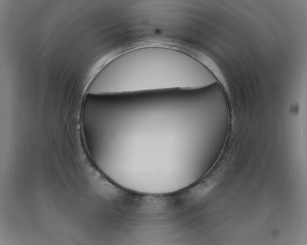X0000093260954200709261615