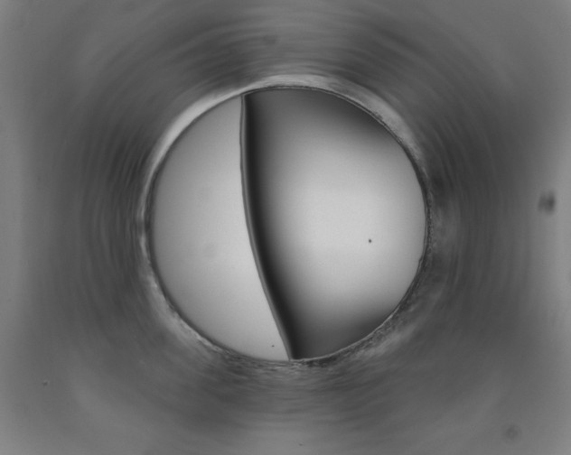X0000093260955200709261615