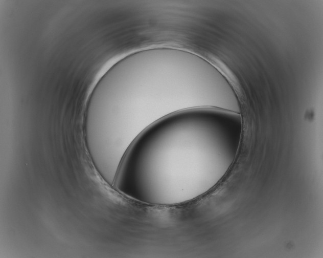X0000093260956200709261615