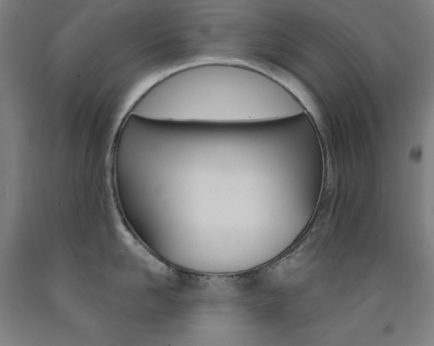 X0000093260958200709261615