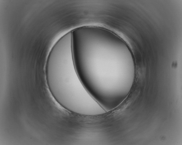 X0000093260959200709261615