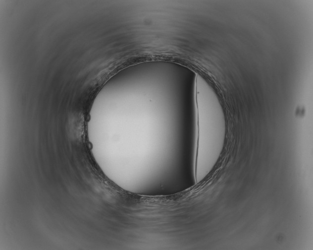 X0000093260963200709261615