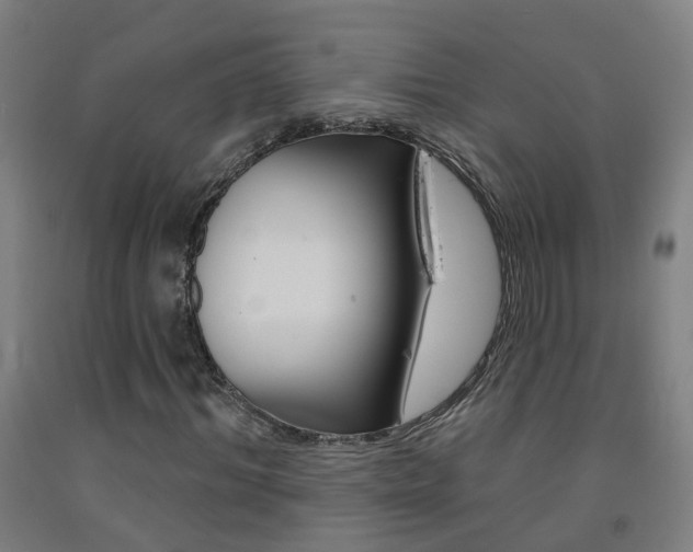 X0000093260964200709261615