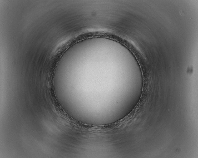 X0000093260967200709261615