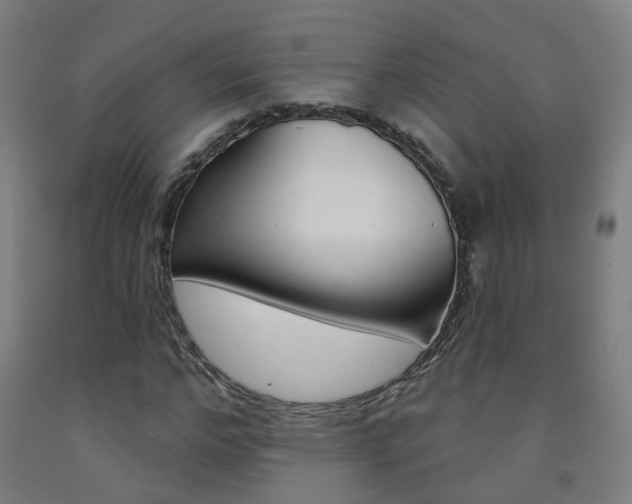 X0000093260968200709261615
