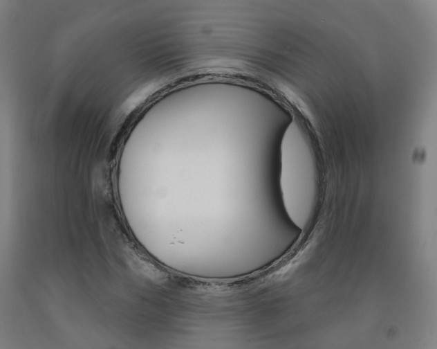X0000093260970200709261615