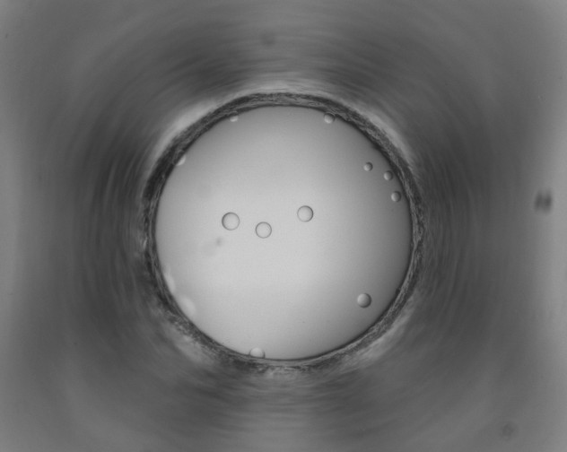 X0000093260974200709261615