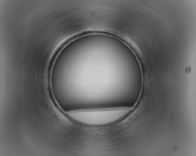 X0000093260976200709261614