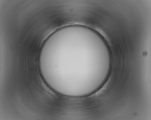 X0000093260977200709261614