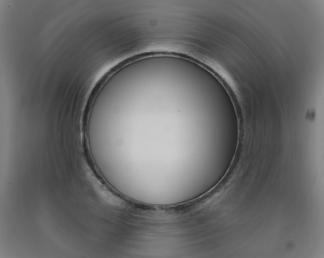 X0000093260980200709261614