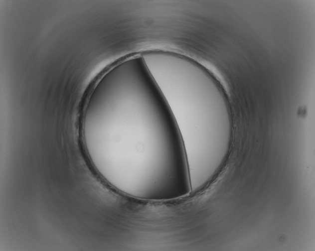 X0000093260983200709261614