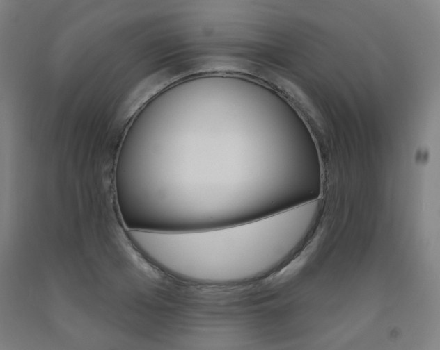 X0000093260985200709261614