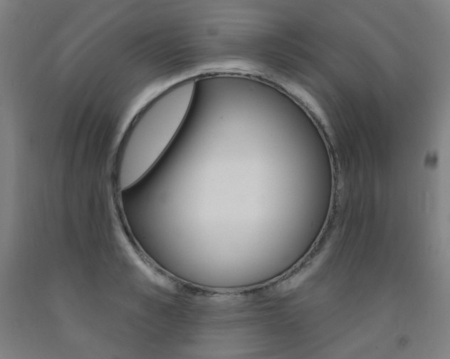 X0000093260989200709261614