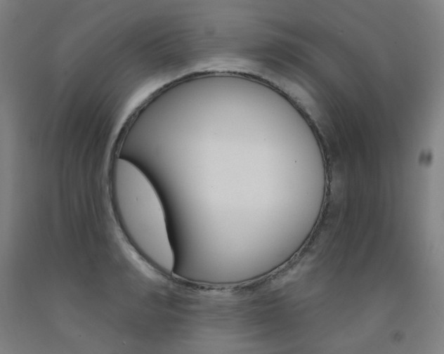 X0000093260990200709261614