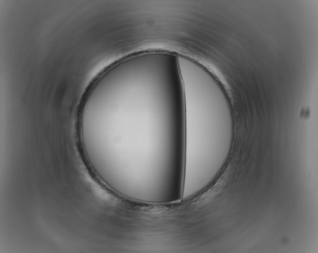 X0000093260991200709261614