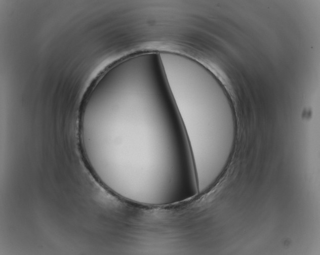 X0000093260992200709261614