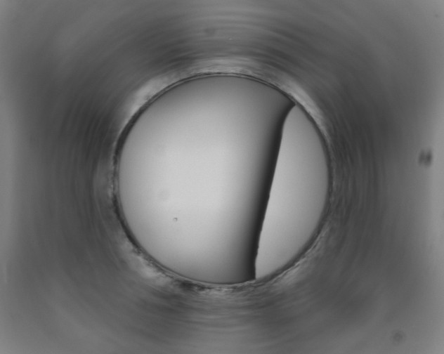 X0000093260994200709261614
