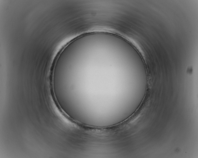 X0000093260995200709261614
