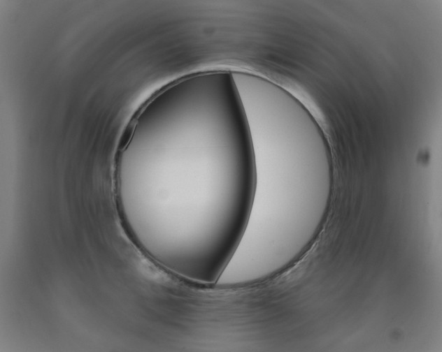 X0000093260996200709261614