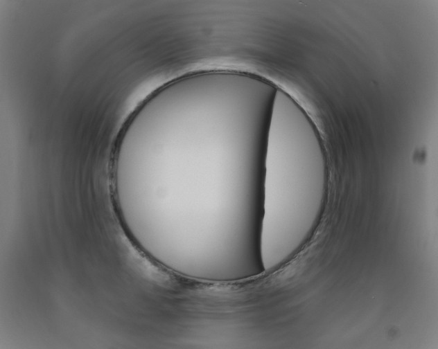 X0000093260998200709261614
