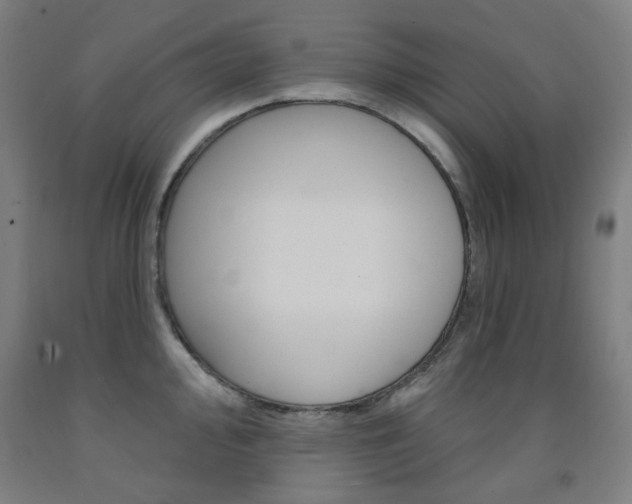 X0000093261000200709261614