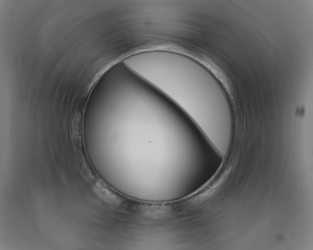 X0000093261001200709261614