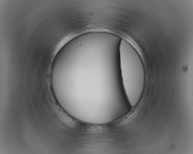X0000093261002200709261614