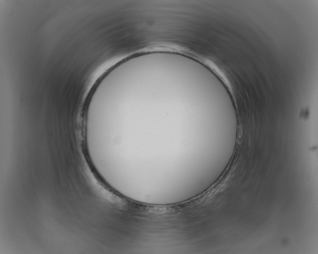 X0000093261003200709261614