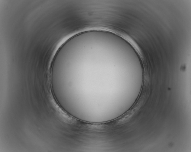 X0000093261004200709261614