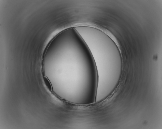 X0000093261005200709261614