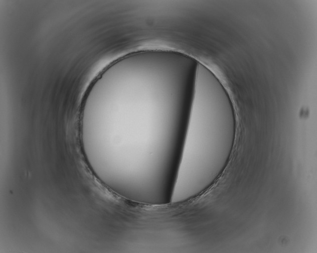 X0000093261008200709261614