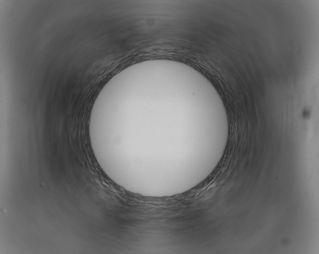 X0000093261010200709261613
