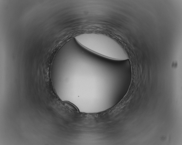 X0000093261013200709261614