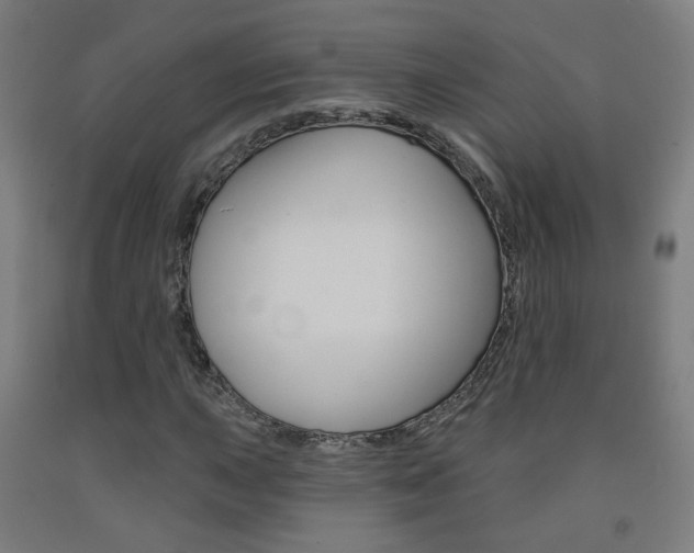 X0000093261015200709261614