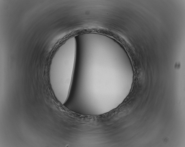 X0000093261016200709261614