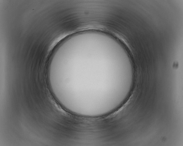X0000093261018200709261614